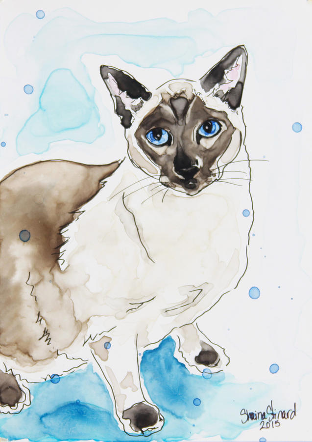 Blue Point Siamese Painting by Shaina Stinard - Fine Art America