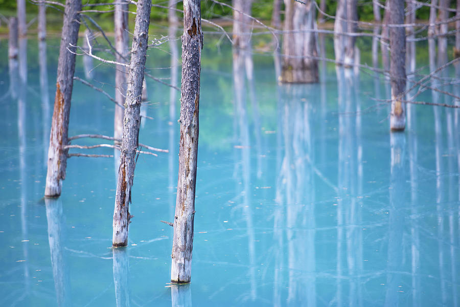 Nature Photograph - Blue Pond by Jason Arney