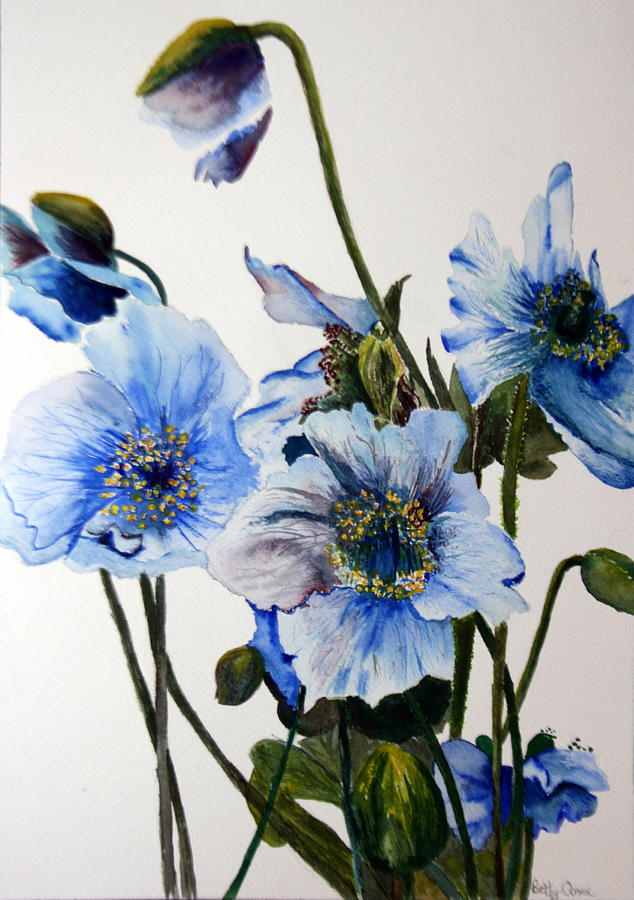 Blue Poppies Painting by Betty-Anne McDonald