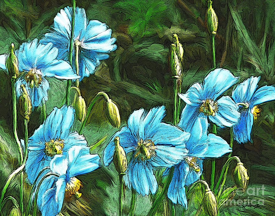 Poppy Painting - Blue Poppies by Dorinda K Skains
