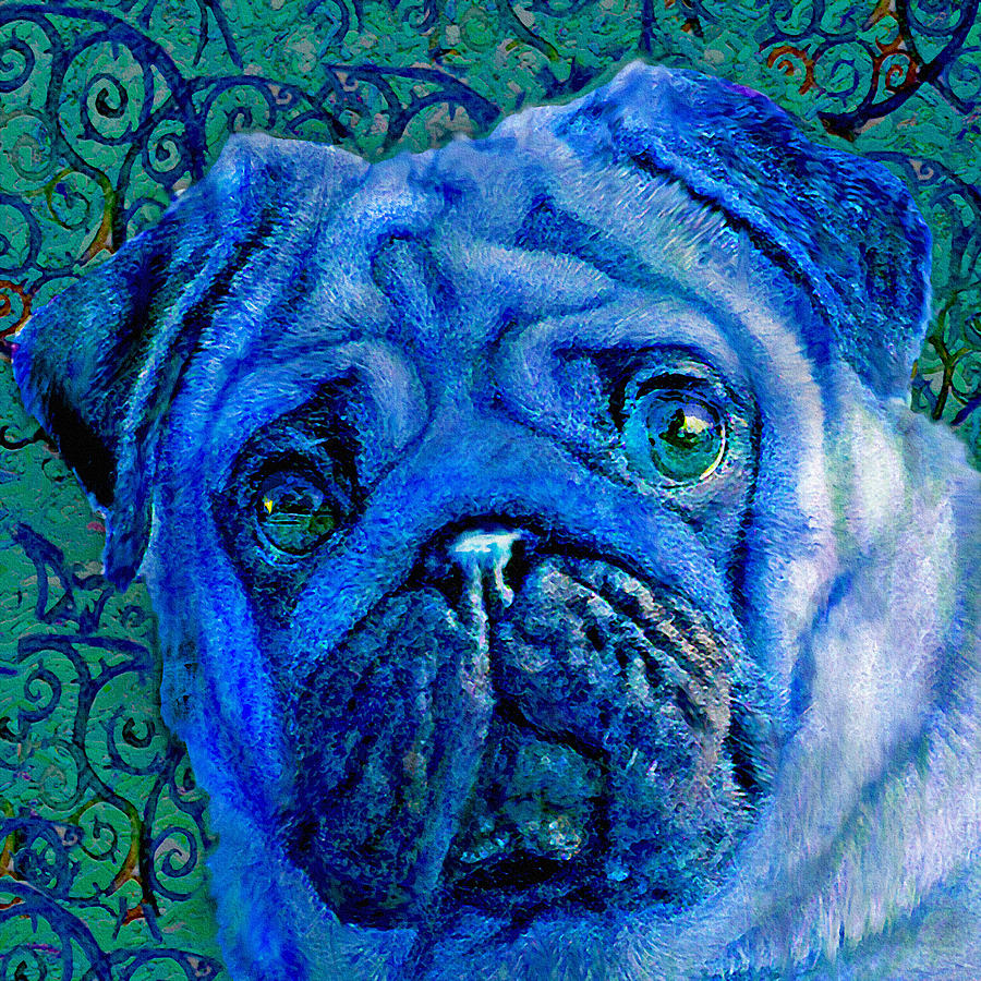 Blue Pug Digital Art by Jane Schnetlage