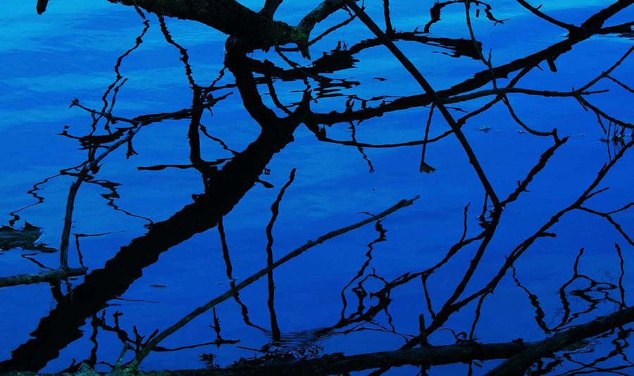 Blue Reflection Photograph - Blue Reflection 2 by Todd Sherlock