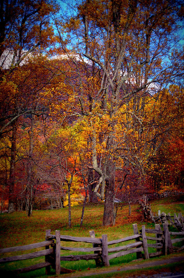 Blue Ridge Fenced In Fall Photograph by Cathy Shiflett