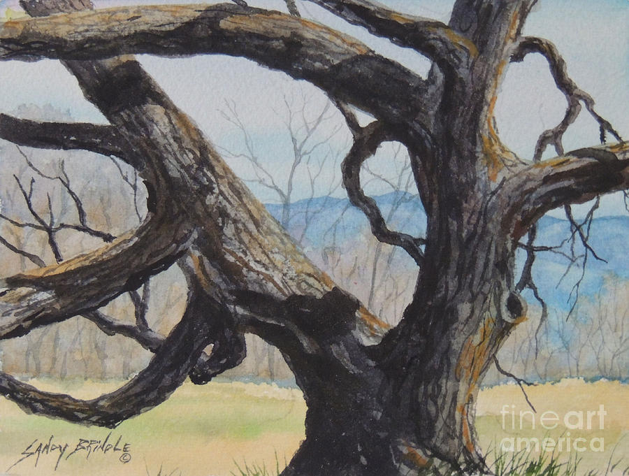 Blue Ridge Memories...SOLD Painting by Sandy Brindle
