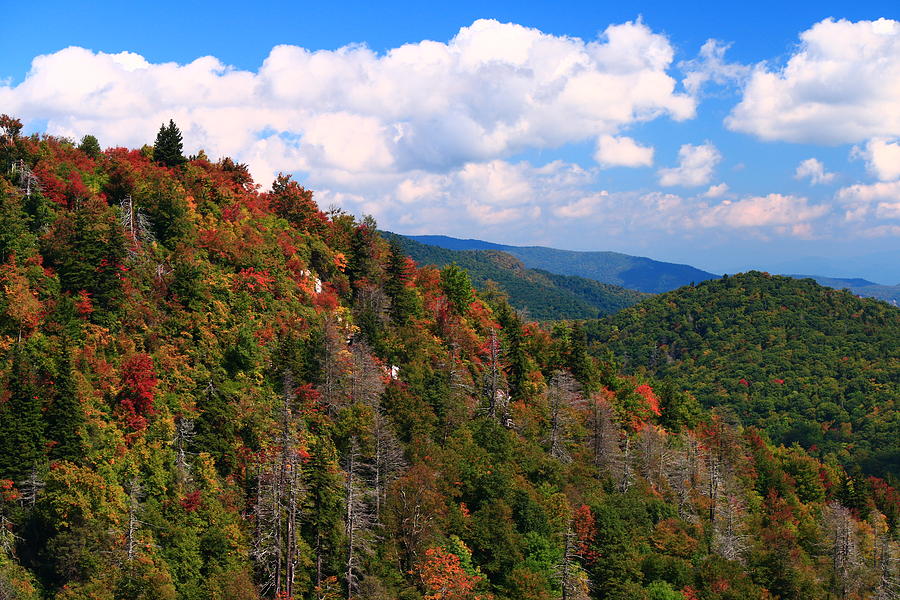 Blue Ridge Mountain Autumn Vista Photograph by Carol Montoya