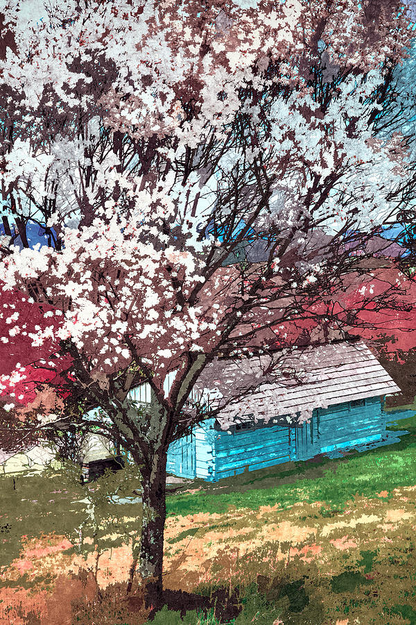 Blue Ridge Mountain Spring II Painting by Dan Carmichael