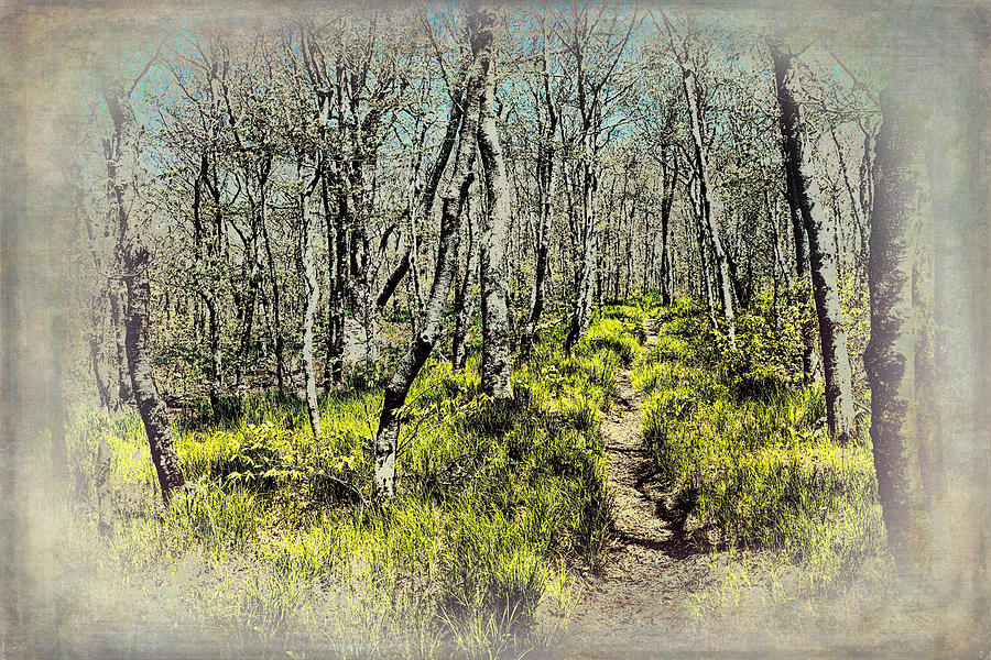 Blue Ridge Mountains Hiking Trail II Painting by Dan Carmichael