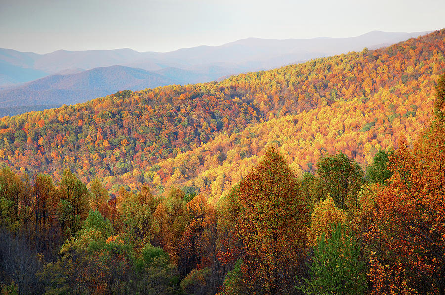 Blue Ridge Mountains In Autumn Photograph by Denistangneyjr