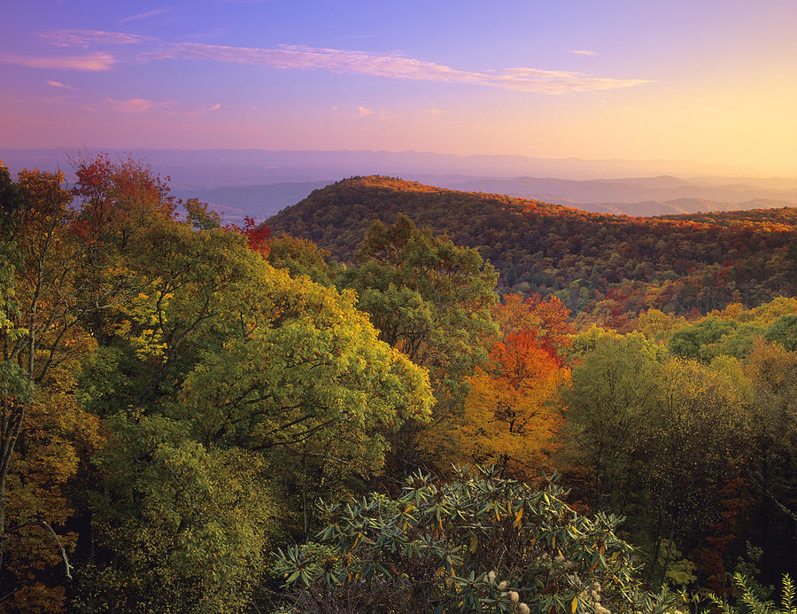 Blue Ridge Mountains in Autumn Photograph by Tim Fitzharris