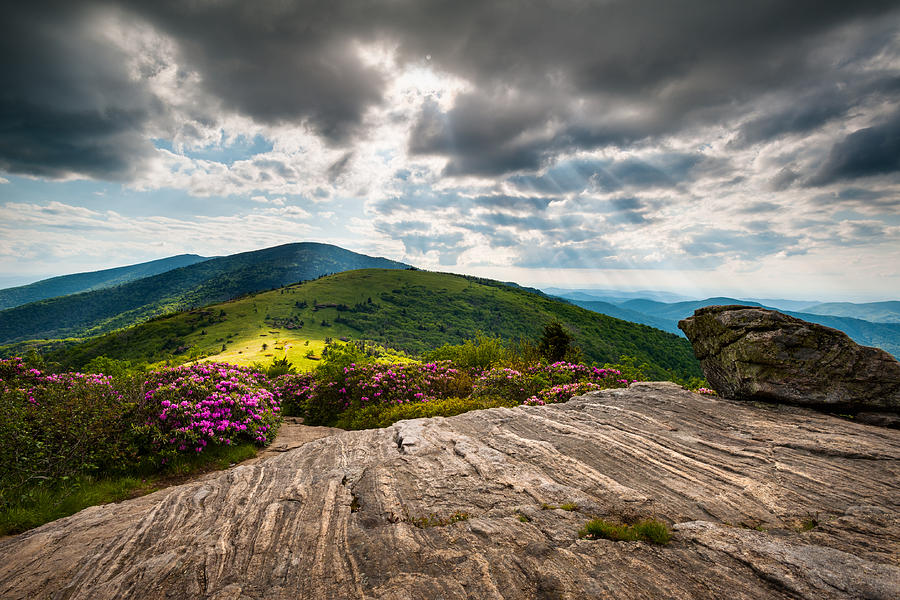 Blue Ridge Mountains Landscape - Roan Mountain Appalachian Trail Nc Tn Photograph