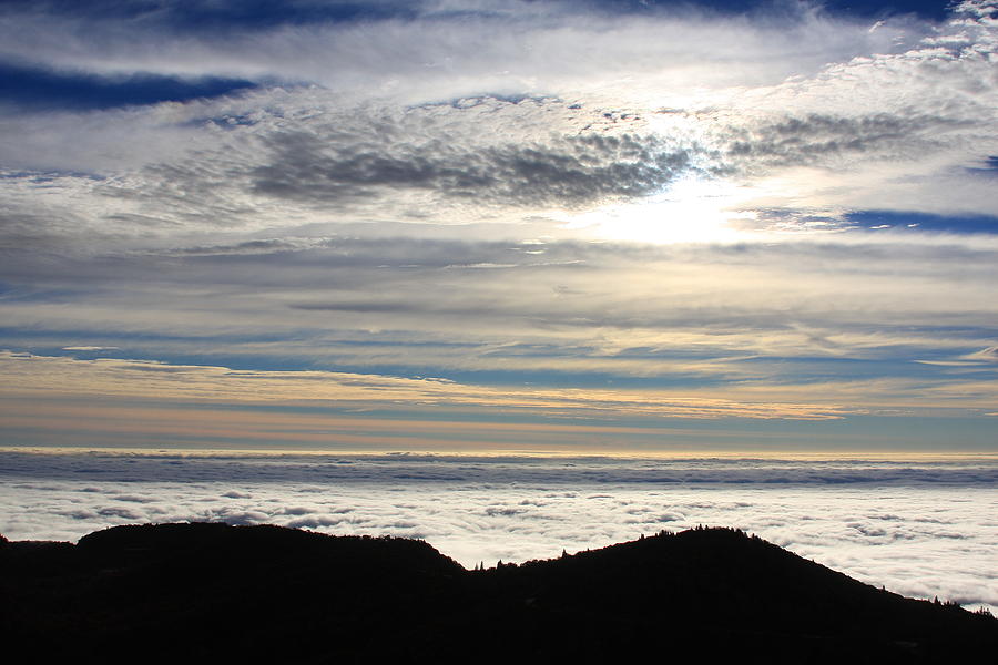 Blue Ridge Ocean Of Fog Photograph