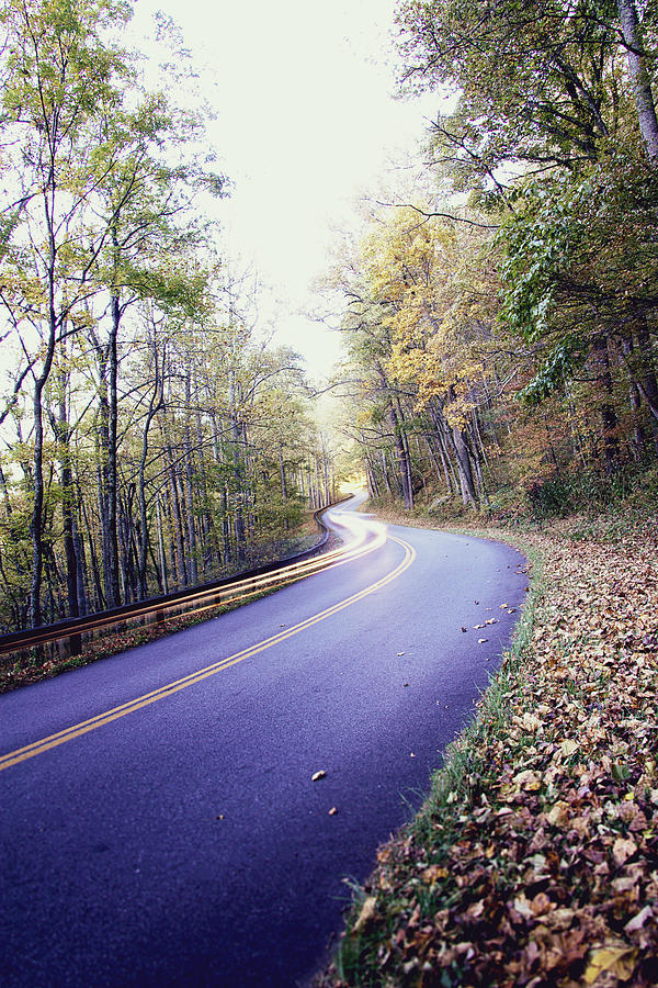 Blue Ridge Parkway Fall Drive  Photograph by Gray  Artus