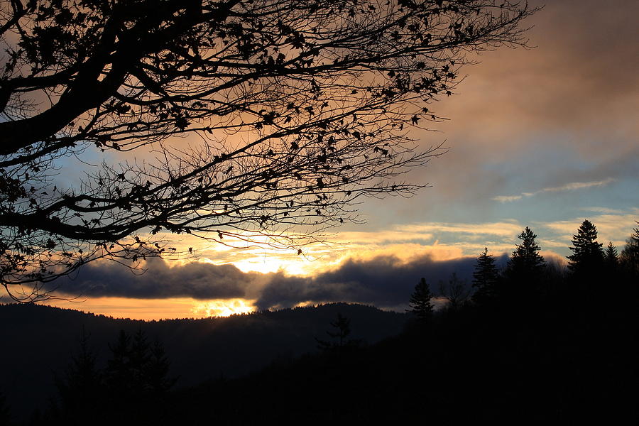 Blue Ridge Parkway Sunrise Photograph