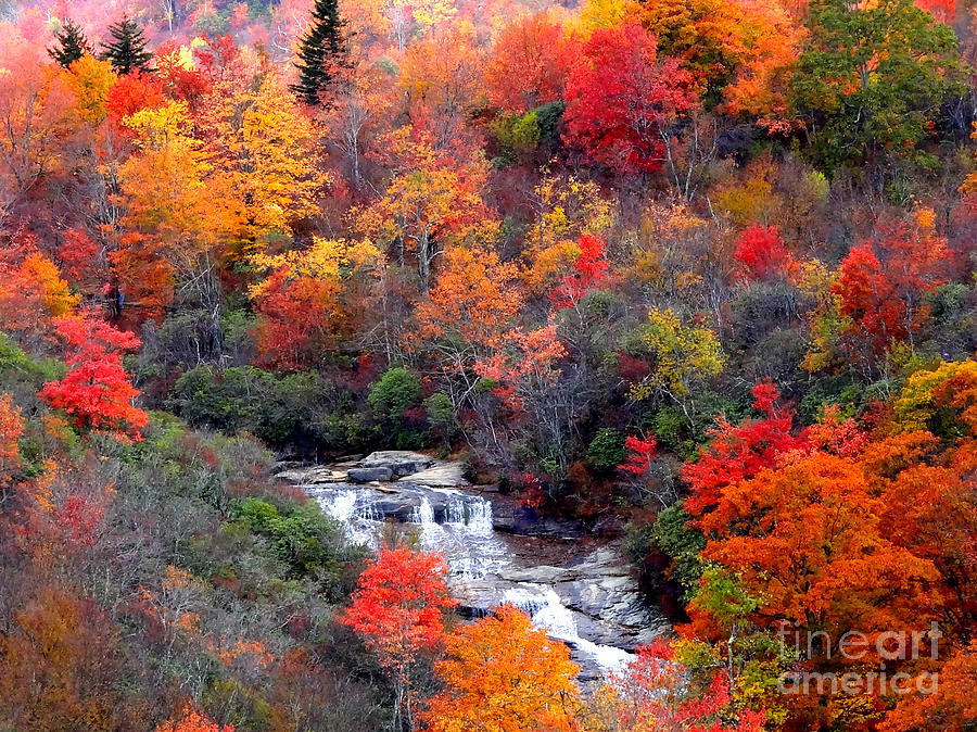 Fall Photograph - Blue Ridge Parkway Waterfall In Autumn by Crystal Joy Photography