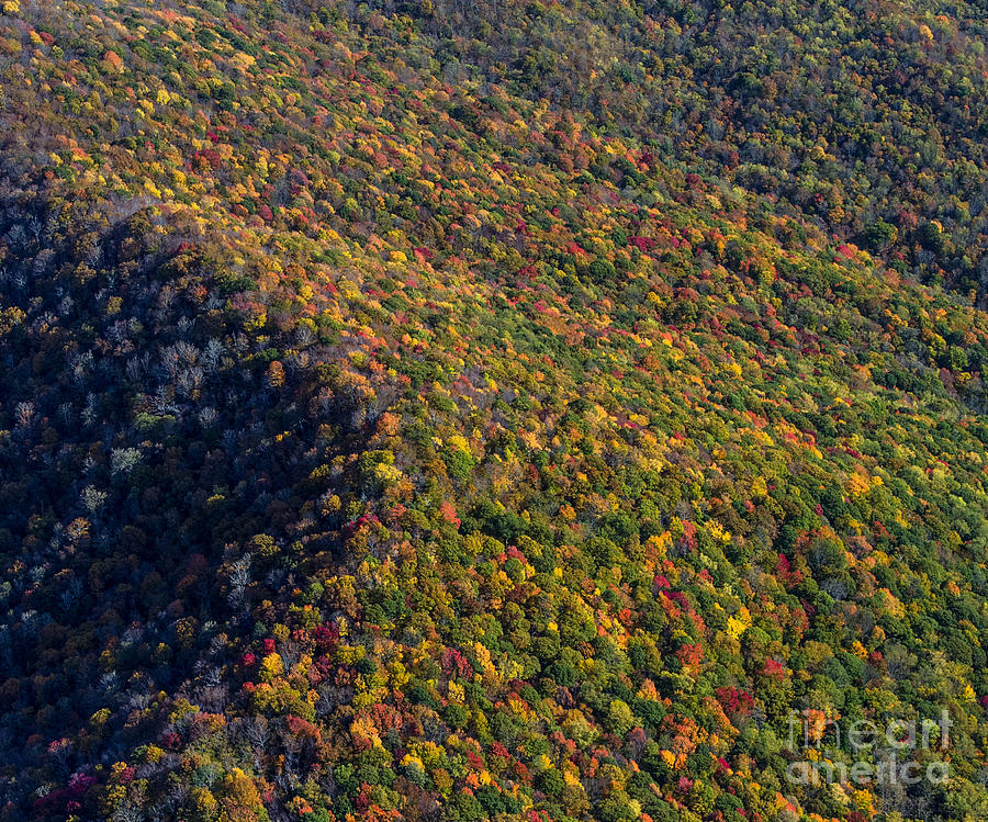 Blue Ridge Parkway with Autumn Colors #1 Photograph by David Oppenheimer