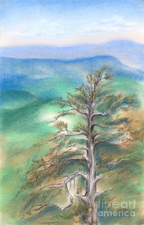 Blue Ridge Pine Pastel by MM Anderson