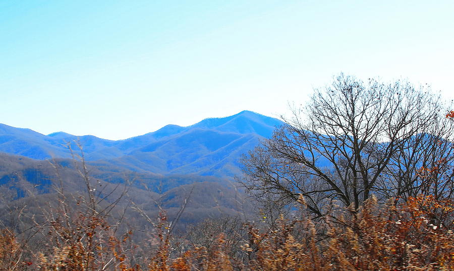 Mountain Photograph - Blue Ridge Pkwy Thru the Trees 3 by Cathy Lindsey