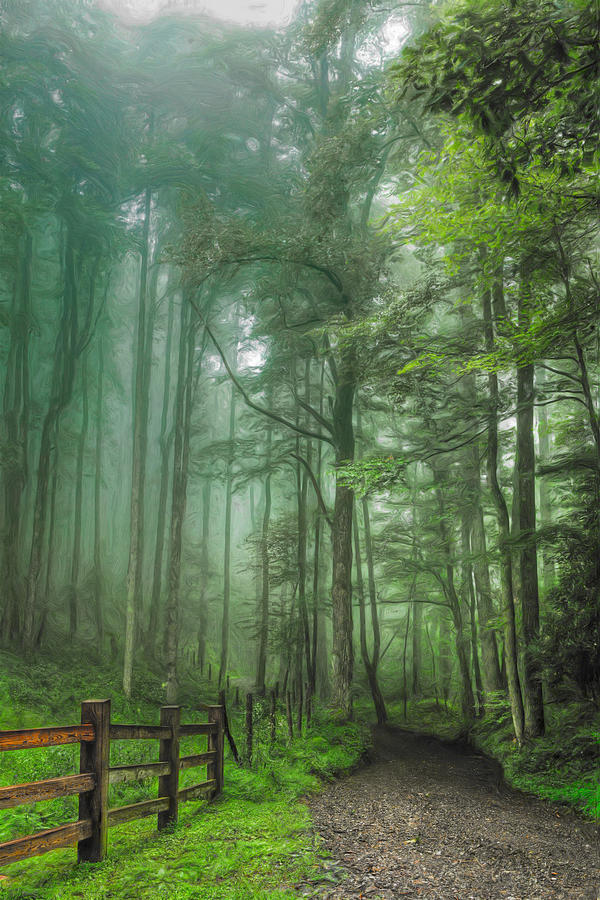 Blue Ridge - Trees in Fog Country Road II Painting by Dan Carmichael