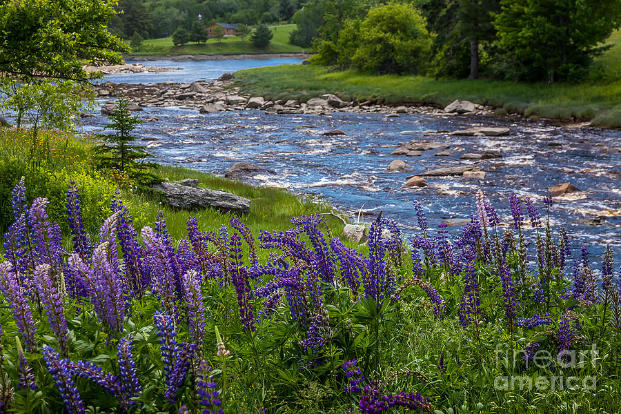 Blue River Photograph by Susan Cole Kelly