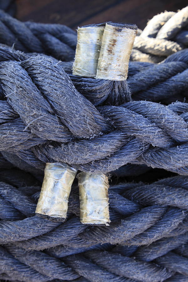 Blue rope Photograph by Ulrich Kunst And Bettina Scheidulin