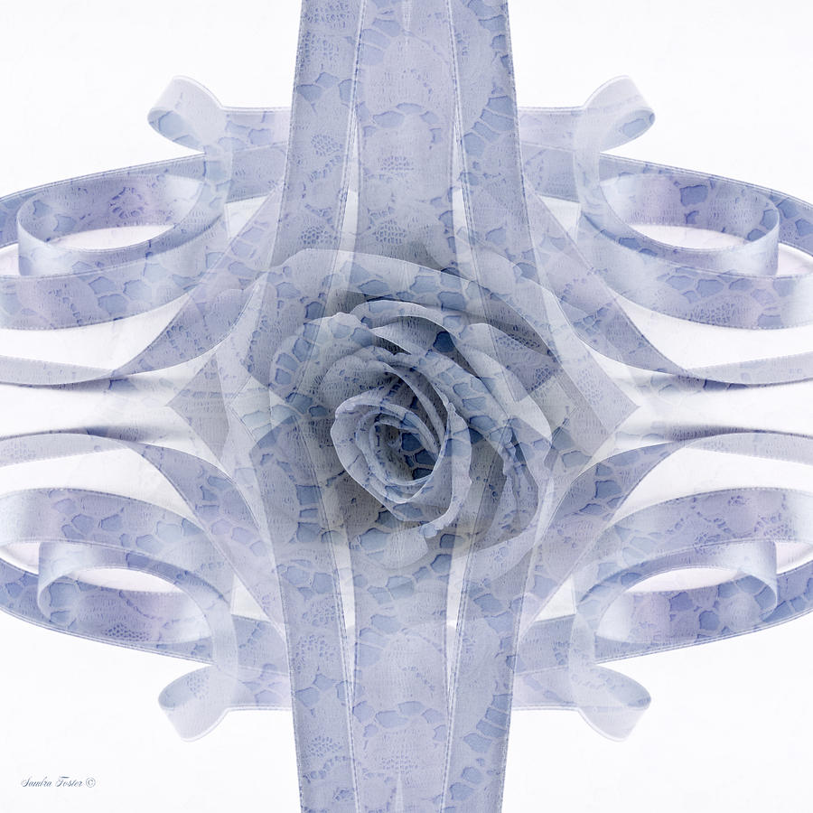 Blue Rose And Ribbon Lace Photograph by Sandra Foster