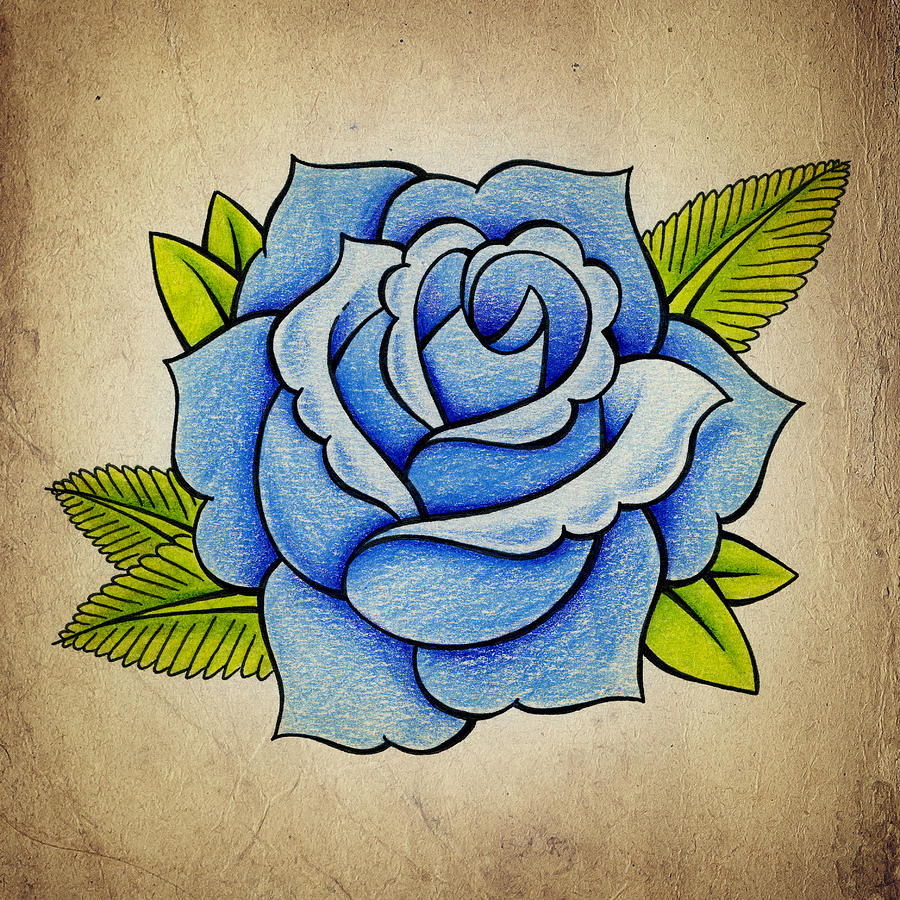 Blue Rose Drawing by Samuel Whitton