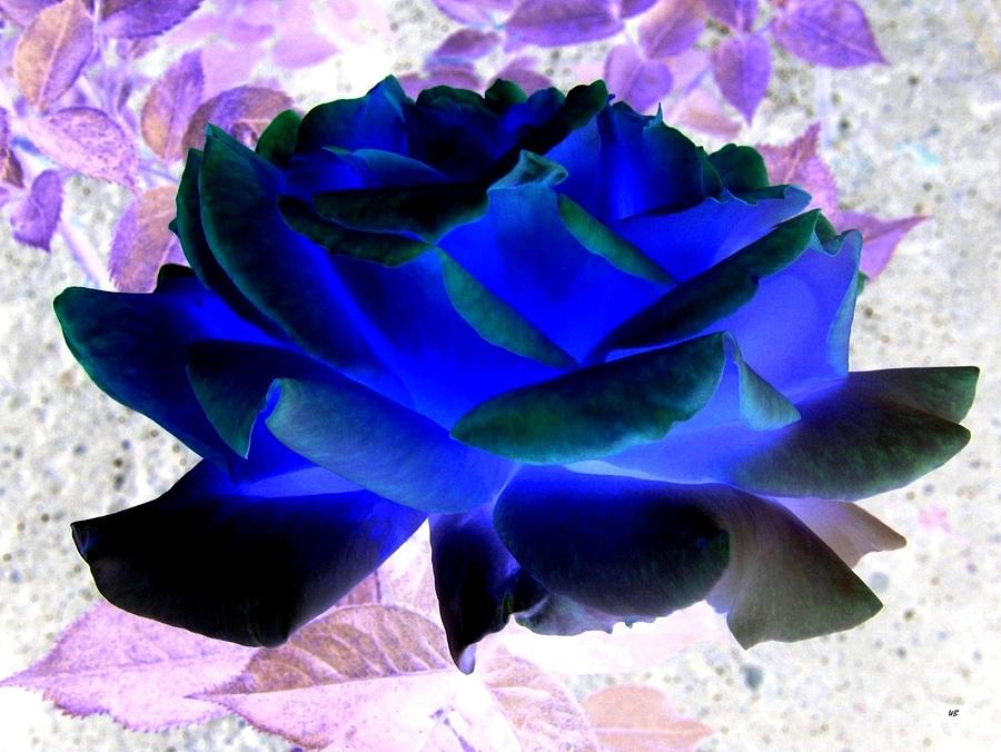 Blue Rose Digital Art by Will Borden