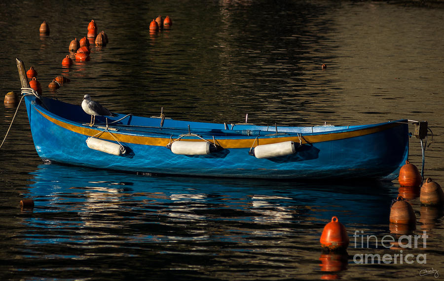 Seagull Photograph - Blue Rowboat and a Gull by Prints of Italy