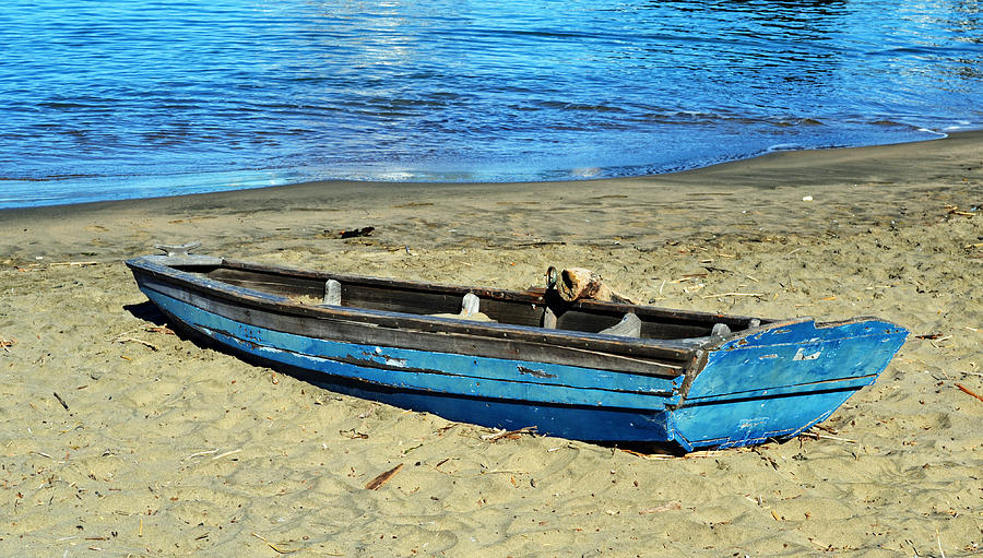 Blue Rowboat Photograph by Holly Blunkall