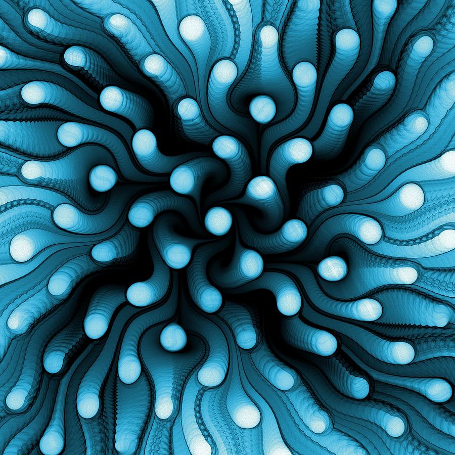 Nature Digital Art - Blue Sea Anemone by Anastasiya Malakhova