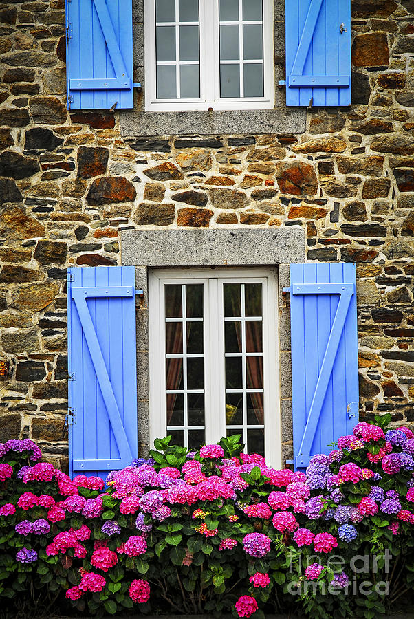Architecture Photograph - Blue shutters by Elena Elisseeva