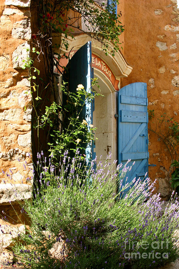 Blue Shutters Photograph by Holly C. Freeman Blue Shutters Photograph by Holly C. Freeman