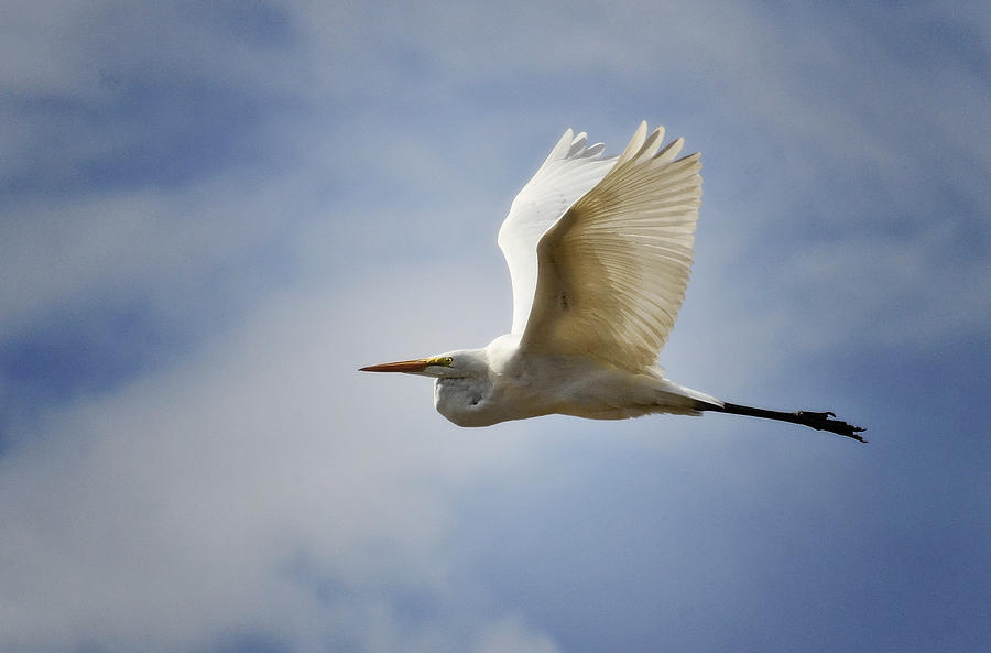 Blue Skies Ahead Photograph by Saija Lehtonen - Pixels