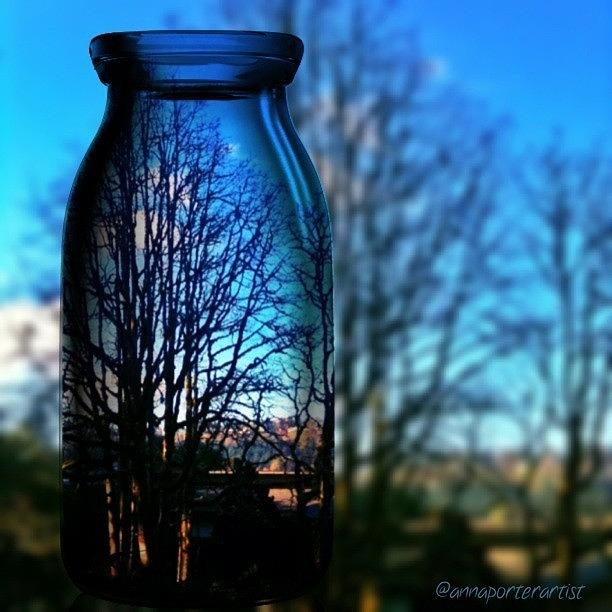 Winter Photograph - Blue Skies Bottled Winter in Oregon by Anna Porter