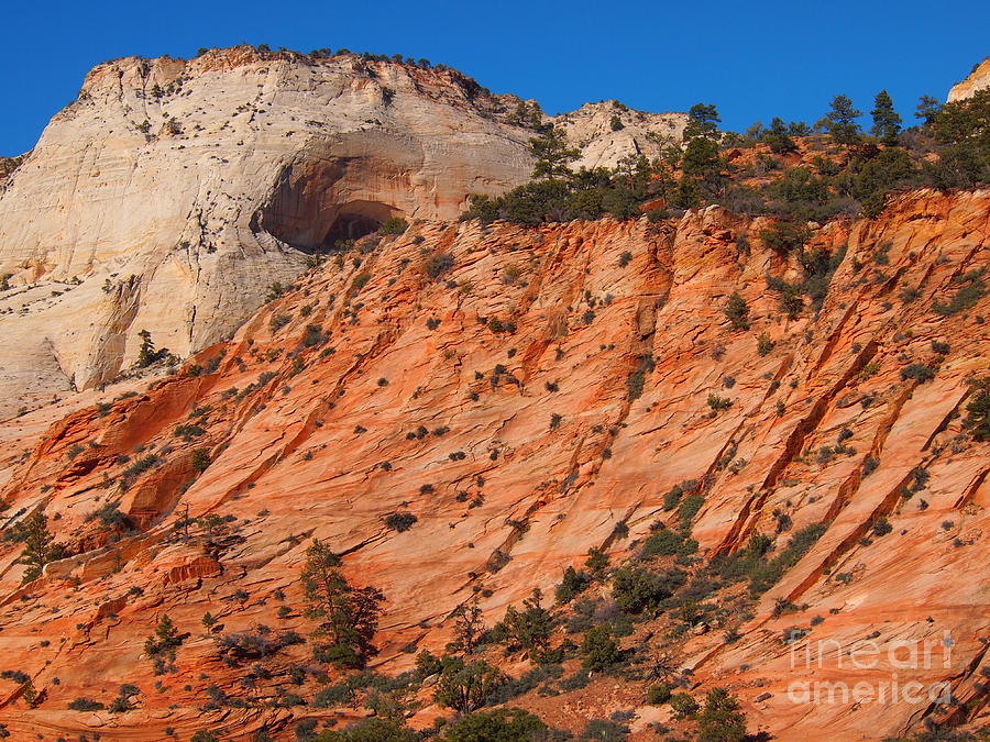 Blue Skies In Zion Photograph