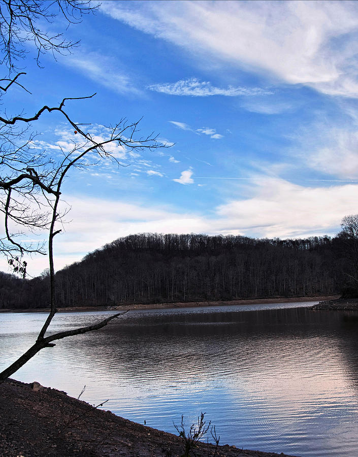 Landscape Photograph - Blue Skies Over Beech Fork Lake by Flees Photos