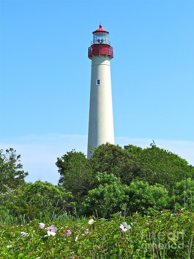 Blue Skies Over Cape May Light  Photograph by Nancy Patterson
