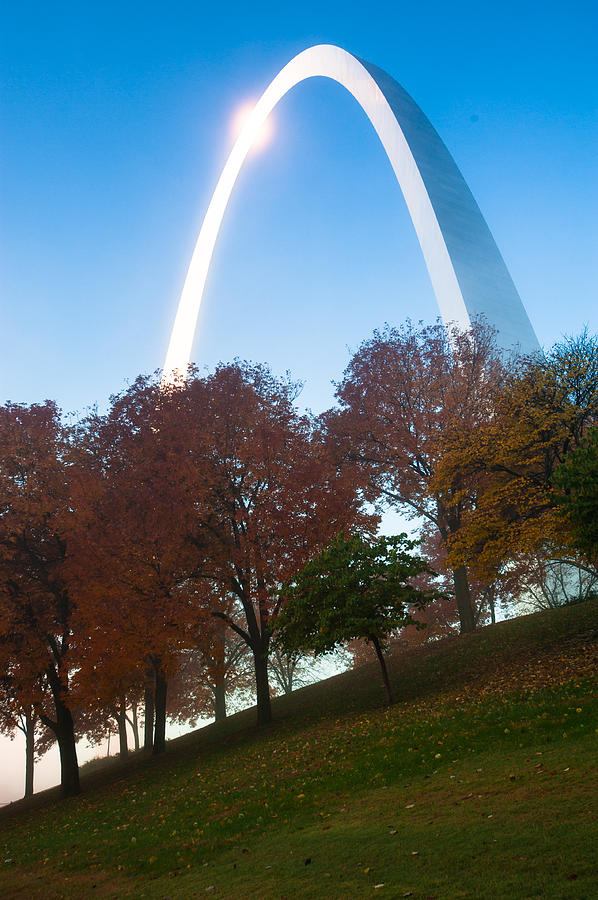 Tree Photograph - Blue Skies over St. Louis in Autumn by Gregory Ballos