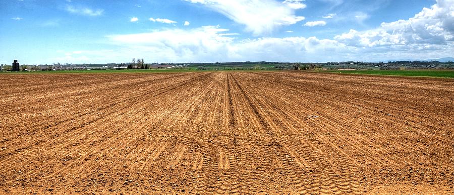 Blue Sky And Field 14567 Photograph