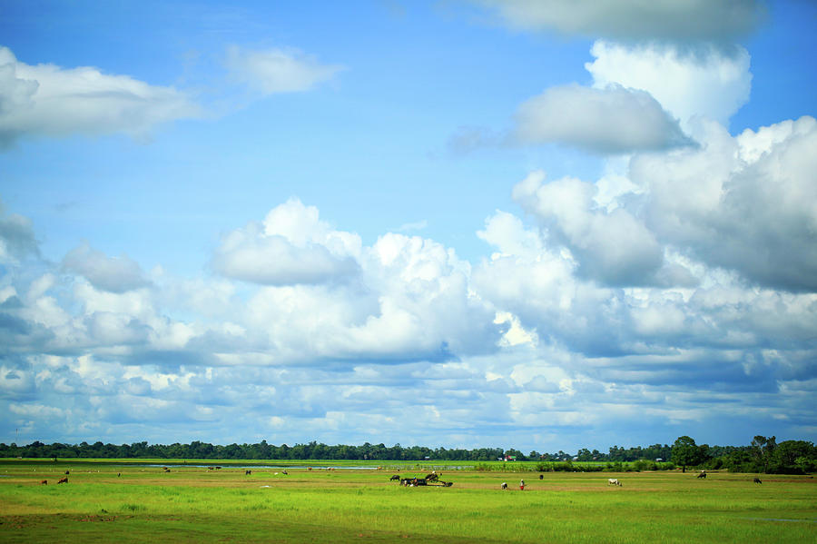 Blue Sky And White Clouds And Grassland Photograph by Greenlin