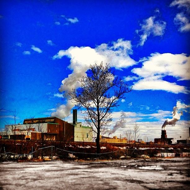 Tree Photograph - #blue #sky #clouds #smoke #factory by Patrice Gagnon