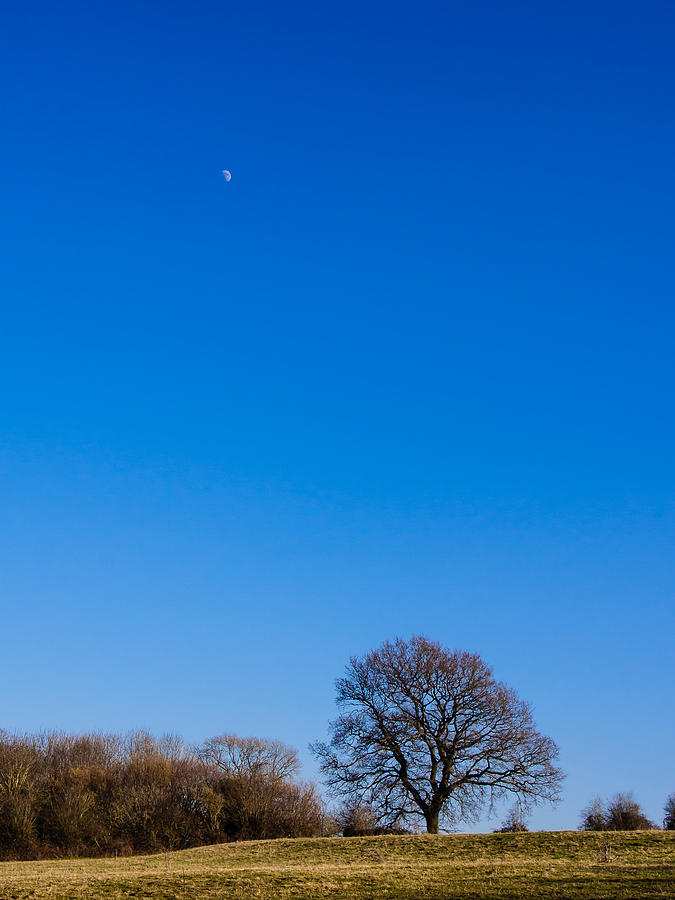 Blue Sky Day Photograph by Mark Llewellyn
