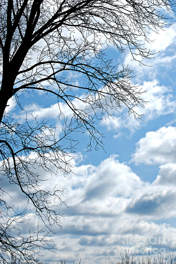 Blue Sky Photograph by Lila Fisher-Wenzel