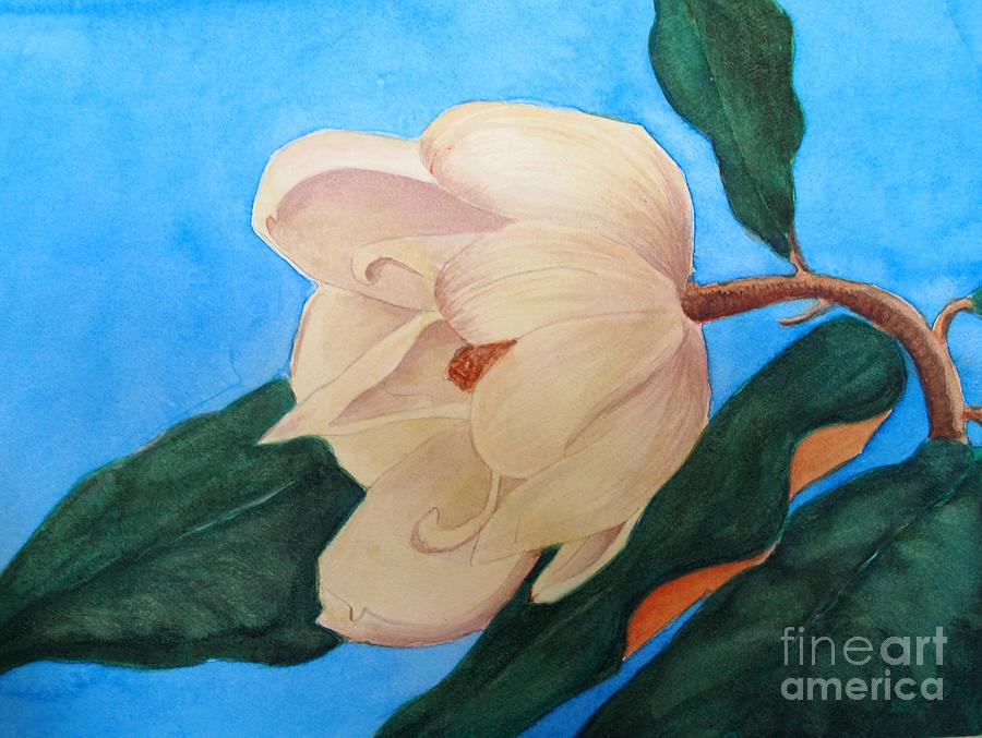 Magnolia Watercolor Painting - Blue Sky Magnolia by Nancy Kane Chapman