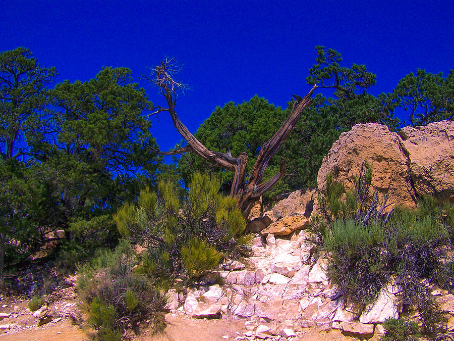 Blue Sky Over The Canyon Photograph