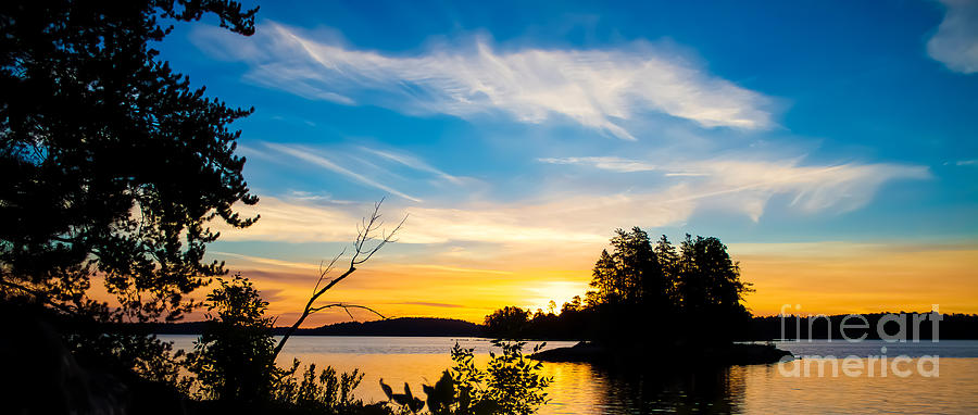 Tree Photograph - Blue Sky Sunrise by Rick McKee