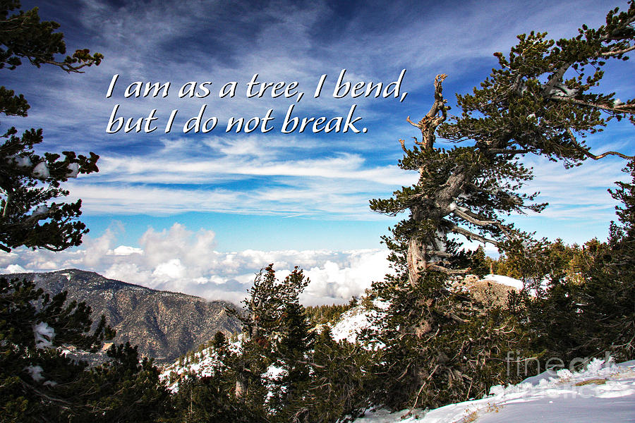 Blue Sky Tranquil Clouds on Top of Snow Covered Mountain Inspirational Message Photograph by Jerry Cowart