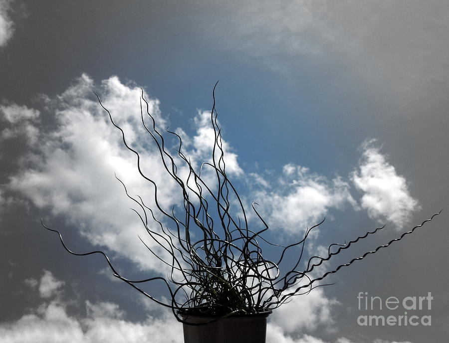 Blue Sky with Shades of Gray Photograph by Renee Trenholm
