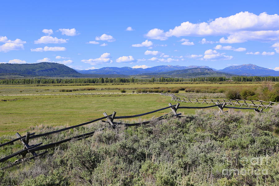 Blue Sky Wyoming Landscape Photograph by Carol Groenen