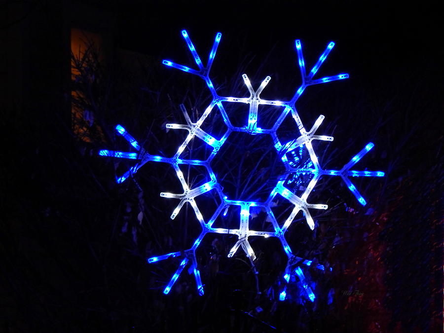 Blue Snowflake Photograph by Wild Thing